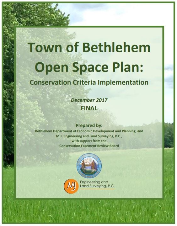 Open Space Plan cover page