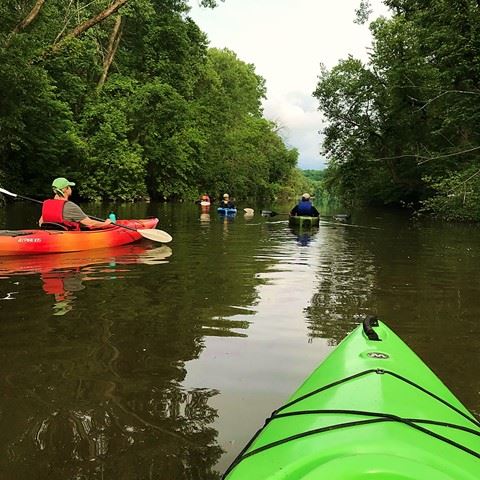 June2019_KayakEcoTour1