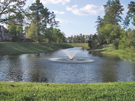 Lake with Fountain