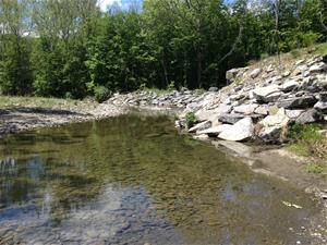 Rupert Road Onesquethaw Creek 1