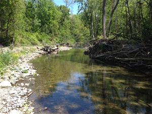 Rupert Road Onesquethaw Creek 2